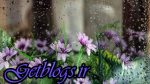ورود موج تازه بارشی به کشور از پنجشنبه